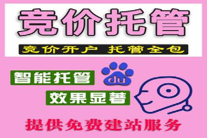 如何在sem百度竞价中实现ROI最大化？——案例分享